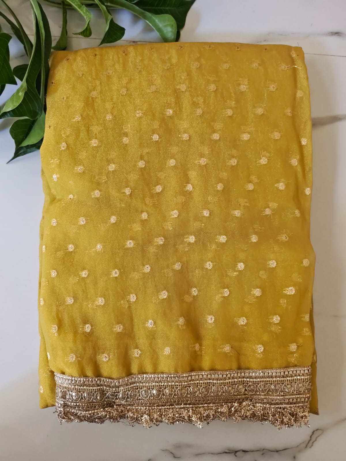 Zariya Banarasi Tissue Silk Saree